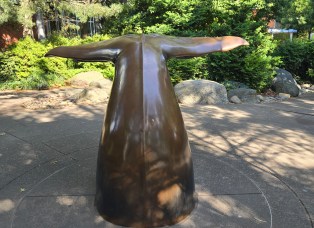 Bull